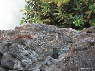 ogeo Quadrato15-07-2014 19-36-09
